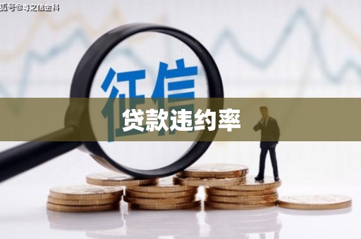 金湾贷款违约率