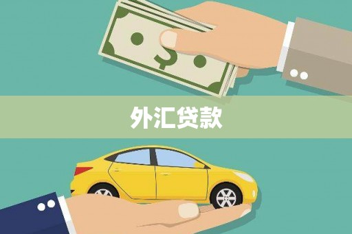 金湾外汇贷款