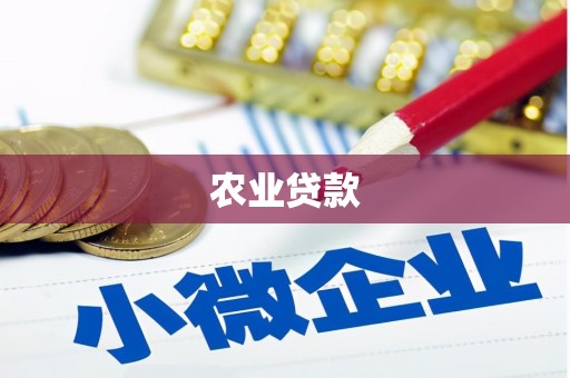 金湾农业贷款