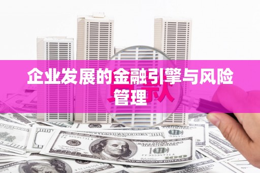 金湾企业发展的金融引擎与风险管理