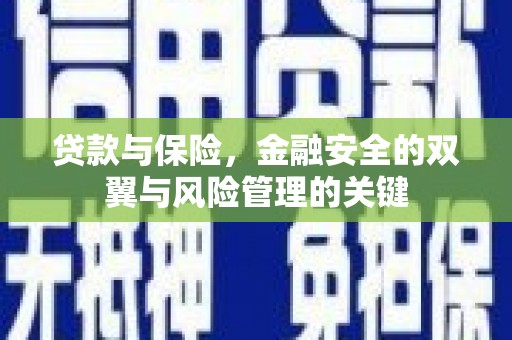 金湾贷款与保险，金融安全的双翼与风险管理的关键