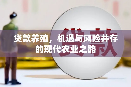 金湾贷款养殖，机遇与风险并存的现代农业之路
