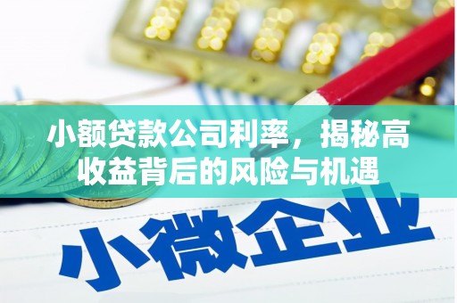 金湾小额贷款公司利率，揭秘高收益背后的风险与机遇