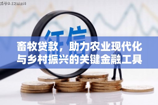 金湾畜牧贷款，助力农业现代化与乡村振兴的关键金融工具