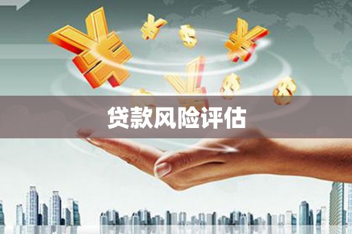 金湾贷款风险评估