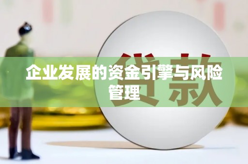金湾企业发展的资金引擎与风险管理