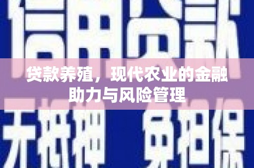 金湾贷款养殖，现代农业的金融助力与风险管理