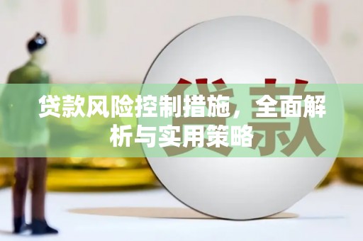 金湾贷款风险控制措施，全面解析与实用策略