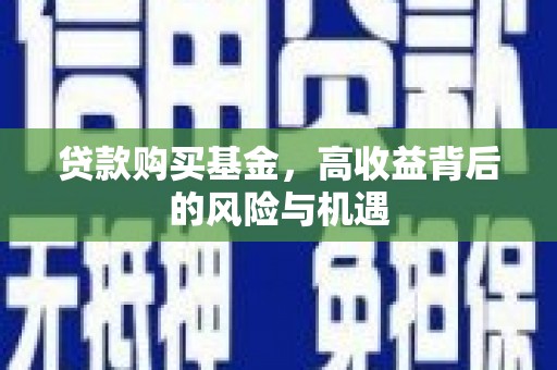 金湾贷款购买基金，高收益背后的风险与机遇