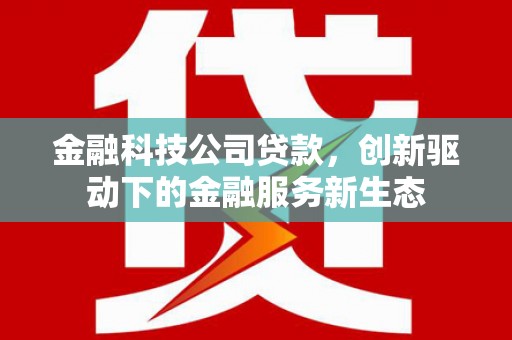 金湾金融科技公司贷款，创新驱动下的金融服务新生态