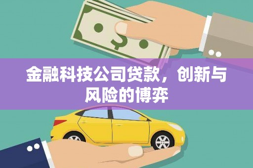 金湾金融科技公司贷款，创新与风险的博弈