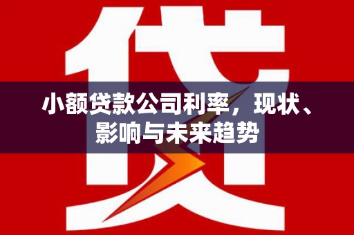 金湾小额贷款公司利率，现状、影响与未来趋势