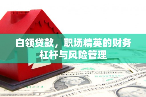金湾白领贷款，职场精英的财务杠杆与风险管理