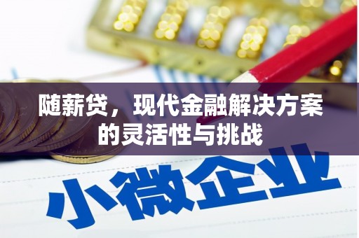金湾随薪贷，现代金融解决方案的灵活性与挑战