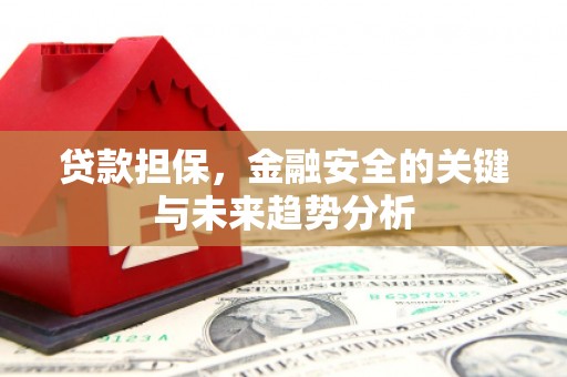金湾贷款担保，金融安全的关键与未来趋势分析
