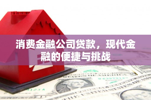 金湾消费金融公司贷款，现代金融的便捷与挑战