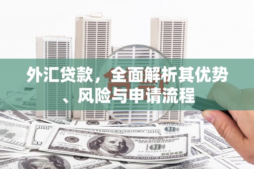 金湾外汇贷款，全面解析其优势、风险与申请流程