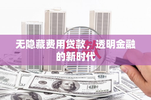 金湾无隐藏费用贷款，透明金融的新时代