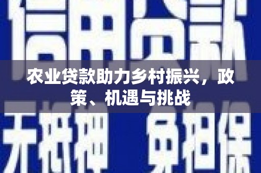 金湾农业贷款助力乡村振兴，政策、机遇与挑战