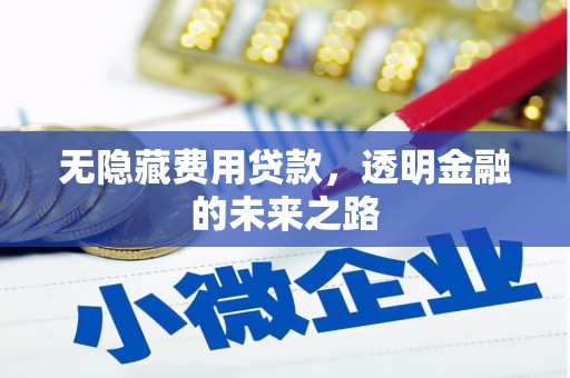 金湾无隐藏费用贷款，透明金融的未来之路