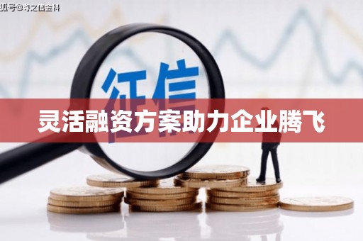 金湾灵活融资方案助力企业腾飞