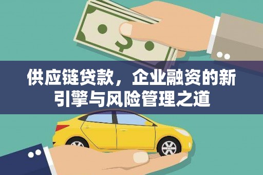金湾供应链贷款，企业融资的新引擎与风险管理之道