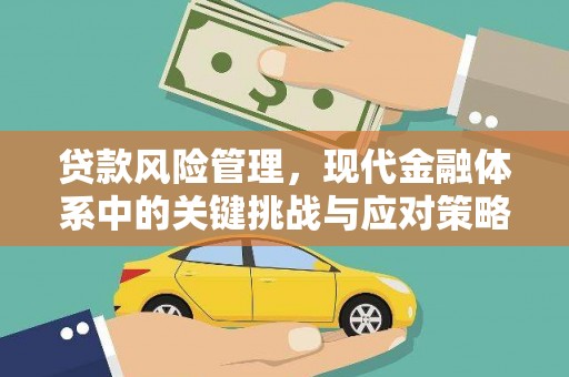金湾贷款风险管理，现代金融体系中的关键挑战与应对策略