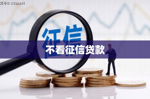金湾不看征信贷款