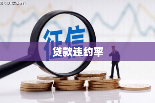 金湾贷款违约率