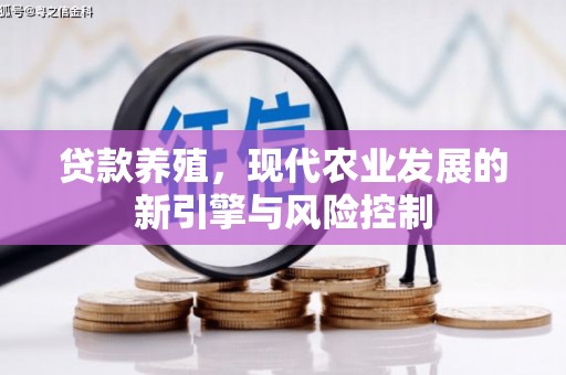 金湾贷款养殖，现代农业发展的新引擎与风险控制