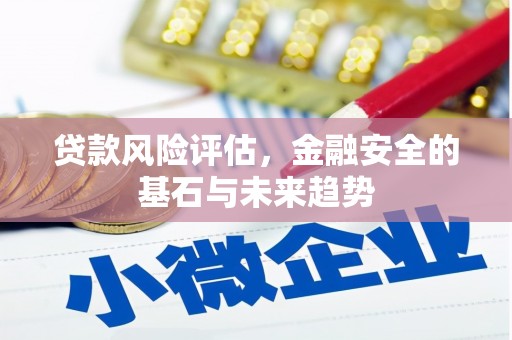 金湾贷款风险评估，金融安全的基石与未来趋势