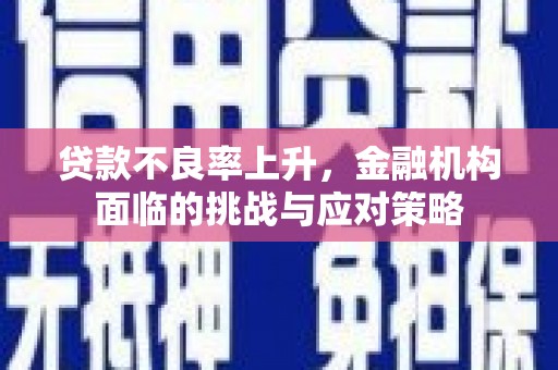 金湾贷款不良率上升，金融机构面临的挑战与应对策略
