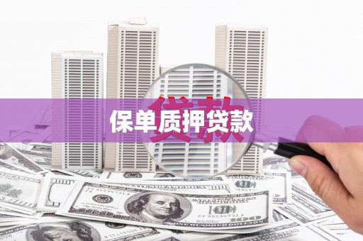 金湾保单质押贷款