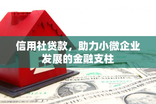金湾信用社贷款，助力小微企业发展的金融支柱
