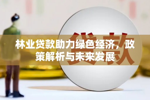 金湾林业贷款助力绿色经济，政策解析与未来发展
