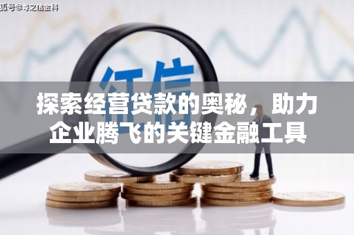 金湾探索经营贷款的奥秘，助力企业腾飞的关键金融工具