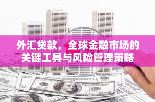 金湾外汇贷款，全球金融市场的关键工具与风险管理策略