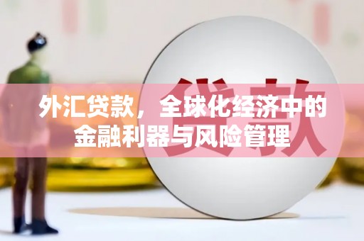 金湾外汇贷款，全球化经济中的金融利器与风险管理
