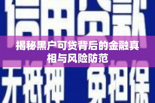 金湾揭秘黑户可贷背后的金融真相与风险防范