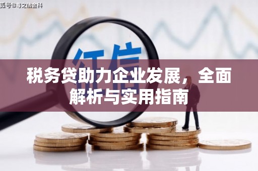 金湾税务贷助力企业发展，全面解析与实用指南