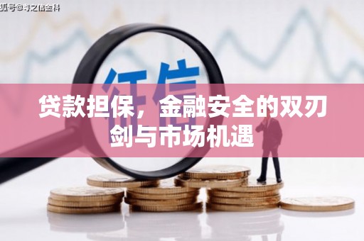 金湾贷款担保，金融安全的双刃剑与市场机遇