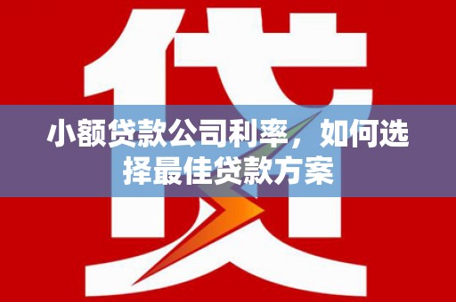 金湾小额贷款公司利率，如何选择最佳贷款方案