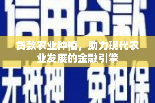 金湾贷款农业种植，助力现代农业发展的金融引擎