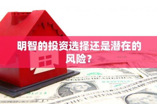 金湾明智的投资选择还是潜在的风险？