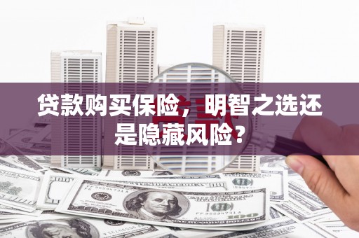 金湾贷款购买保险，明智之选还是隐藏风险？