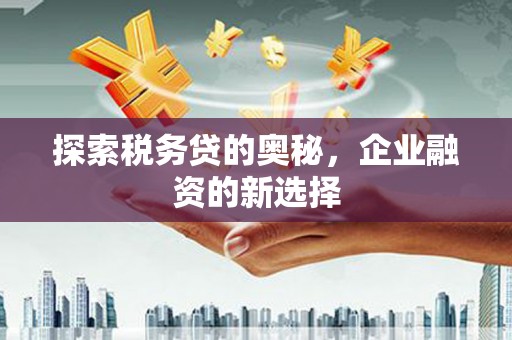 金湾探索税务贷的奥秘，企业融资的新选择