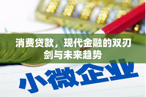 金湾消费贷款，现代金融的双刃剑与未来趋势