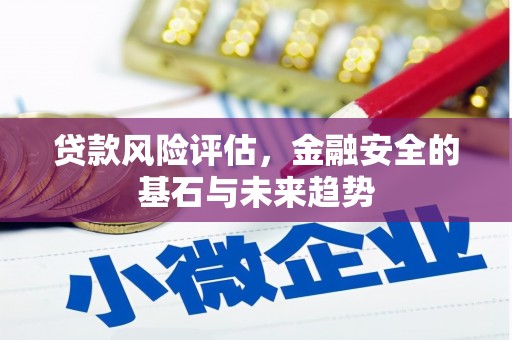 金湾贷款风险评估，金融安全的基石与未来趋势