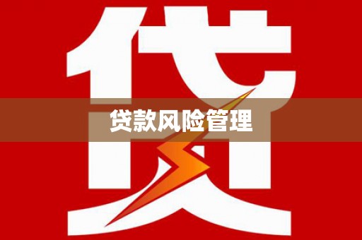 金湾贷款风险管理