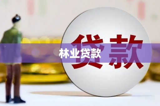 金湾林业贷款